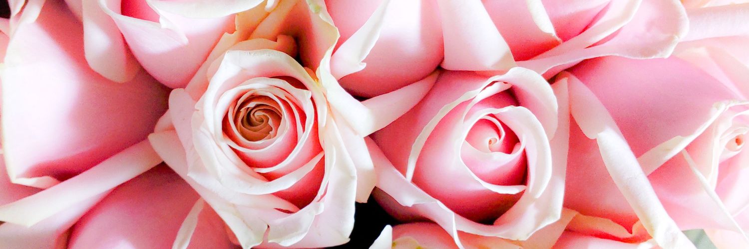 phenolu's profile banner image