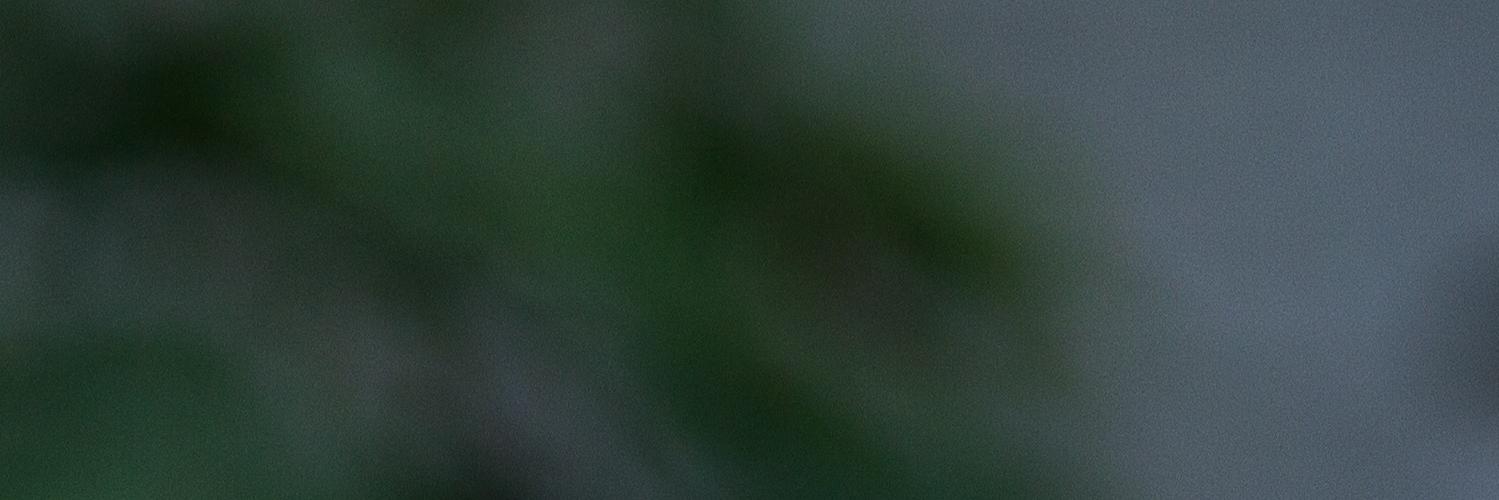 @markusdrake.bsky.social banner