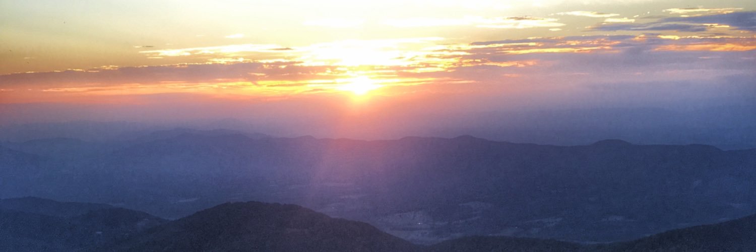 courtsulli's profile banner image