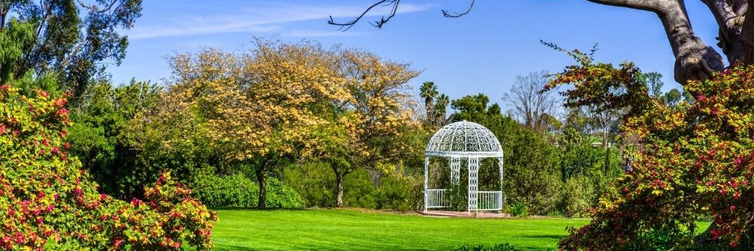 scbgarden's profile banner image