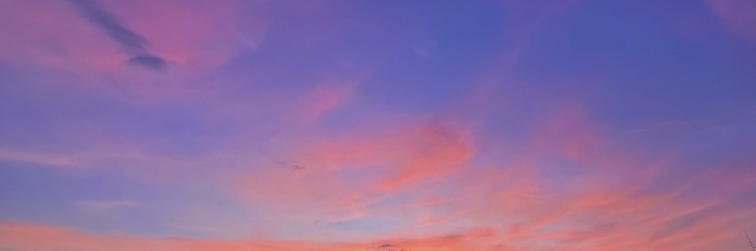 danieladazevedo's profile banner image