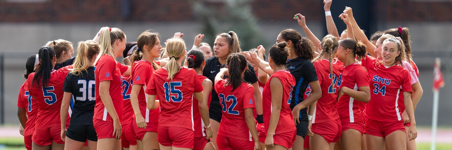 Nicole A Nelson banner