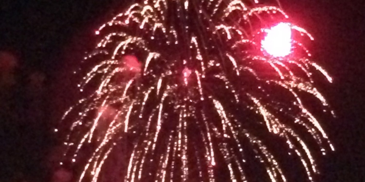 Theresa Rhodes banner