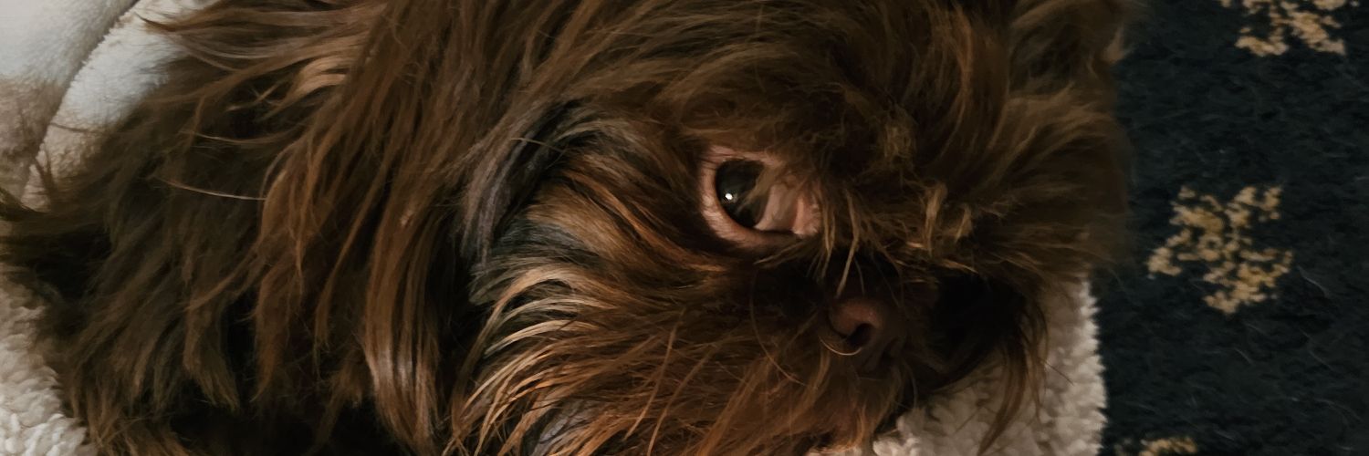 Ardworkinmuma's profile banner image