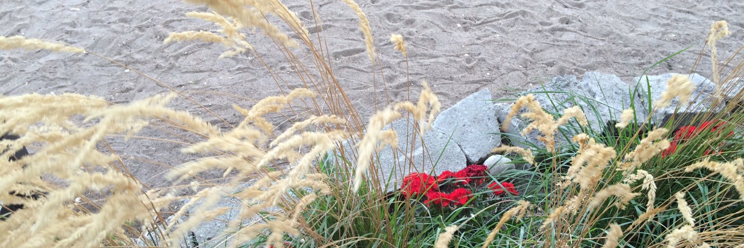 Sharon Douglas banner