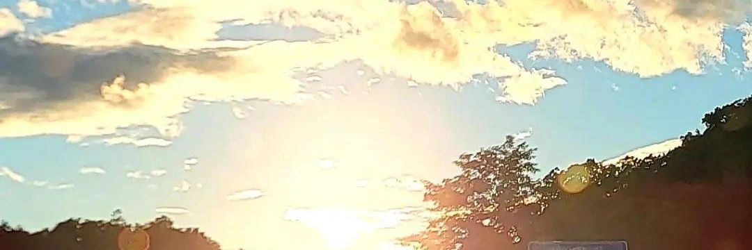 MrSimpson_NJ's profile banner image