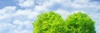 mayoungcip's profile banner image