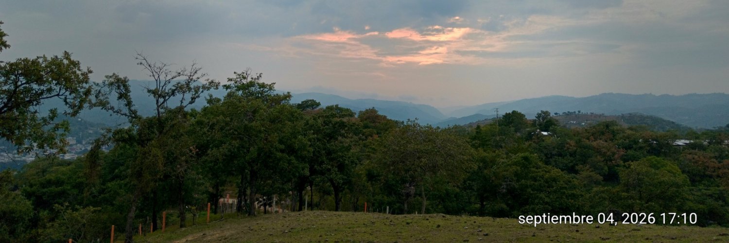 juliocesargom9's profile banner image