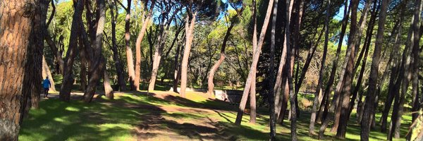 sfahey100 Profile Banner