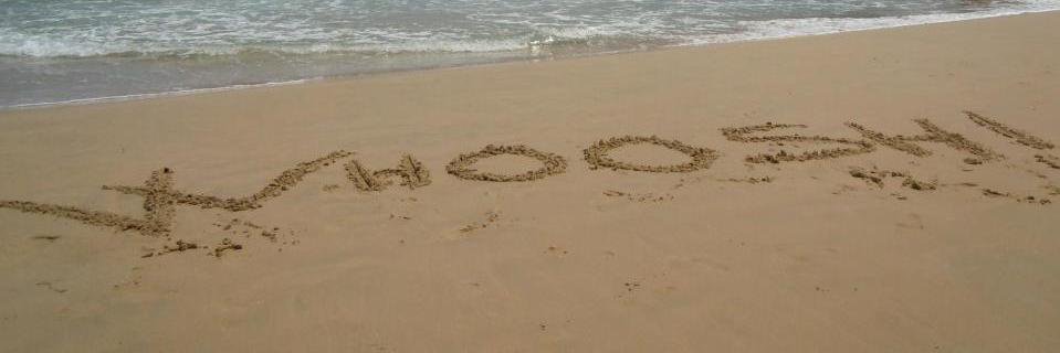 NotoriousALisa's profile banner image
