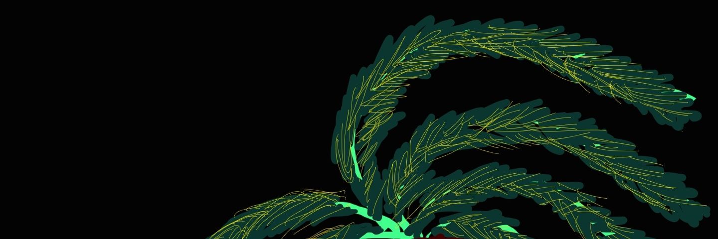 SHMcoder's profile banner image