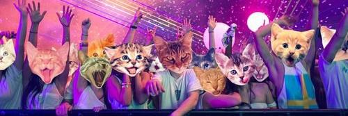 djmindphuk's profile banner image