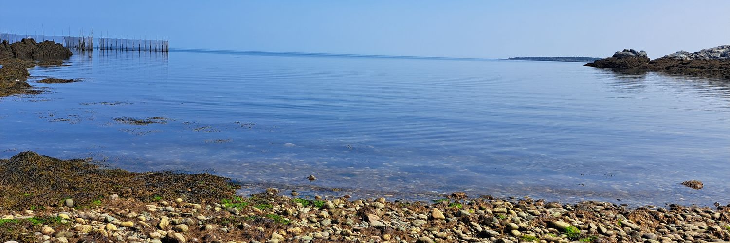 Meg_Munro's profile banner image