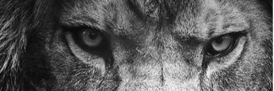 jcthelion77's profile banner image