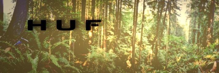 Luke_graves11's profile banner image
