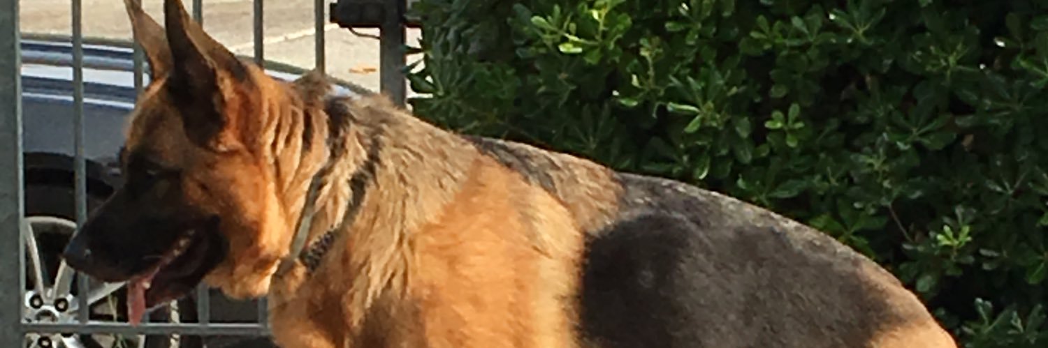 PiazzaClaudio's profile banner image