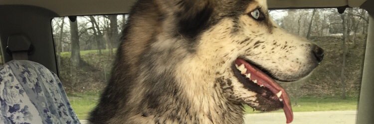 RachelNicole06's profile banner image