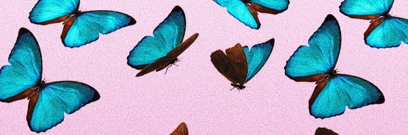 LavishReese_'s profile banner image