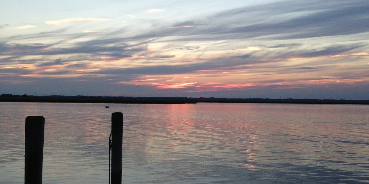 carole_cargiulo's profile banner image