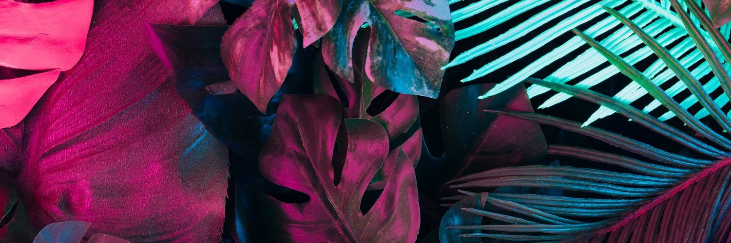MayiJacome's profile banner image
