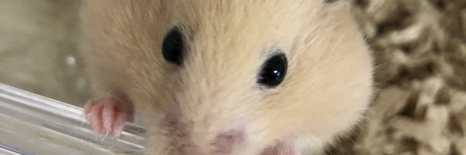 nxnax2's profile banner image