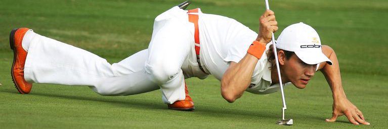 Leocardo DiNaprio banner