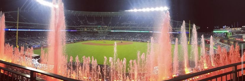 Erica Schilling banner