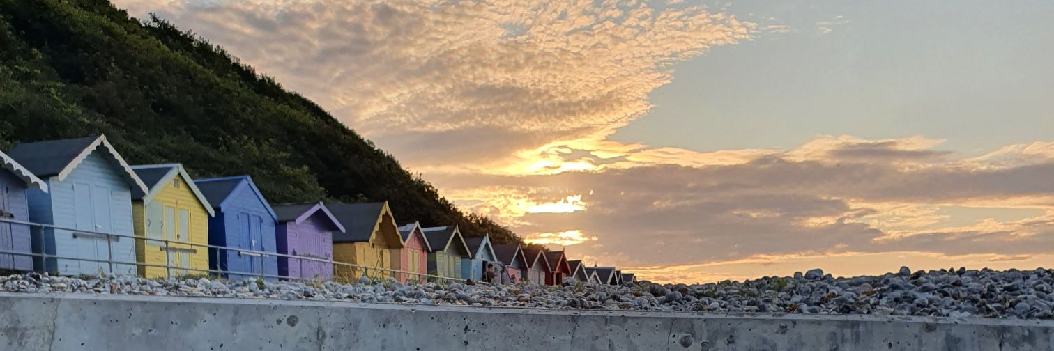 Shaun Sannerude banner