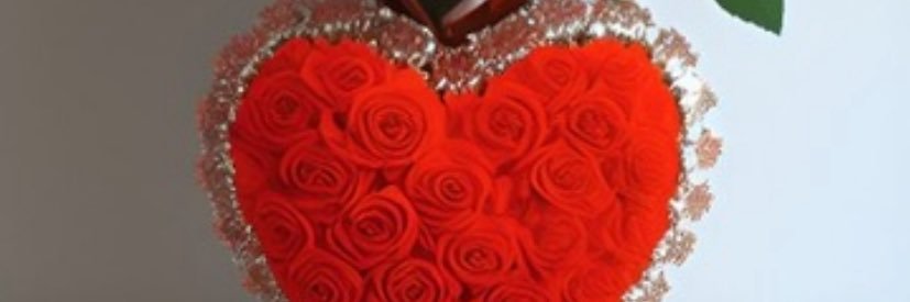 drsotelo424's profile banner image
