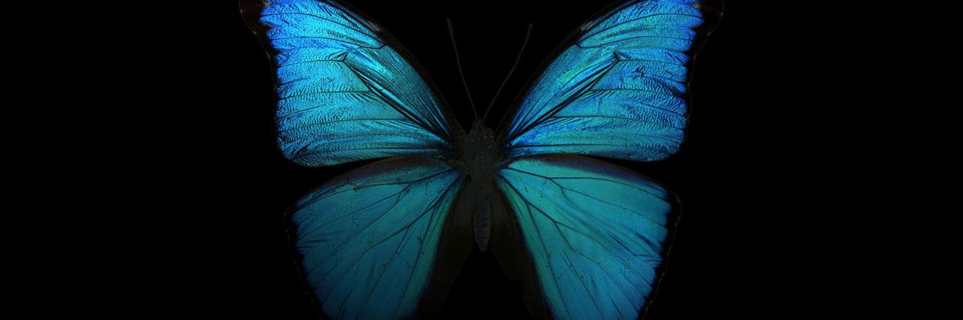 SpectraLegalLtd's profile banner image