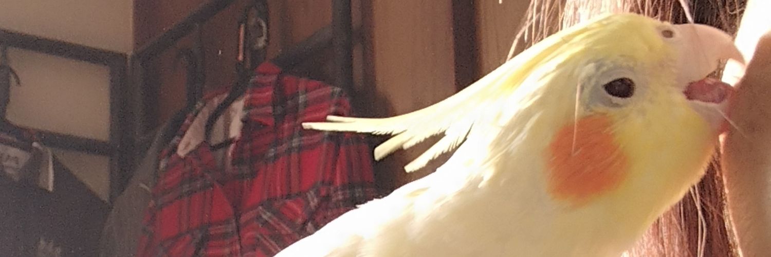 usagi178's profile banner image
