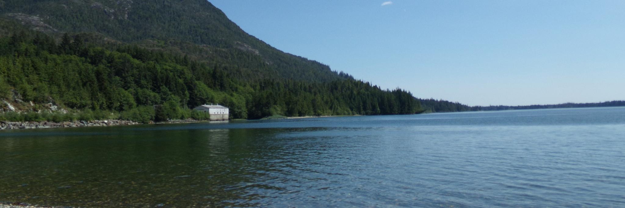AlaskaJewel34's profile banner image