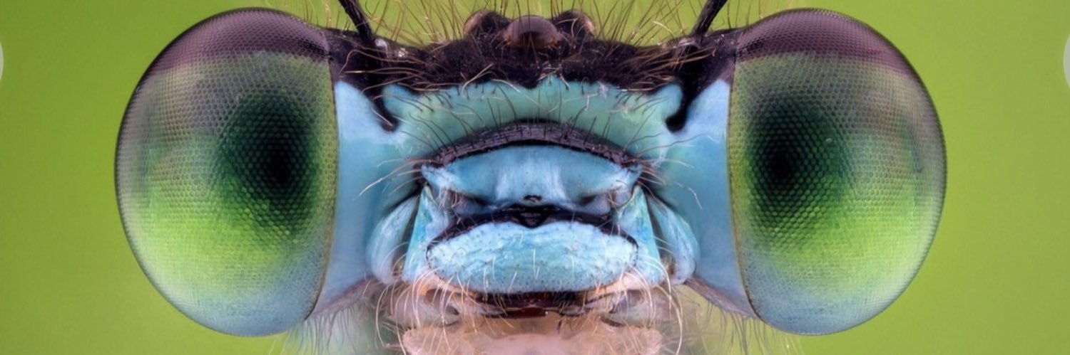 Gbretonl's profile banner image