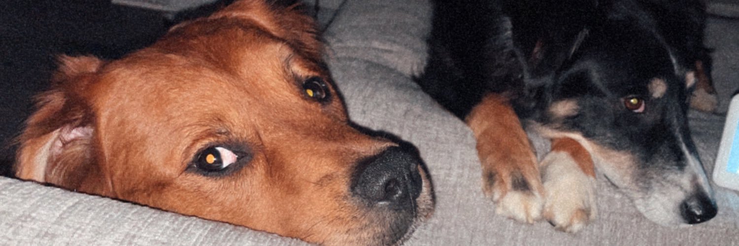 tayplem_'s profile banner image