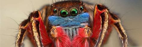 SpiderElla_13's profile banner image