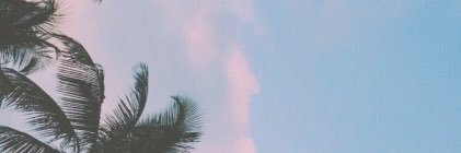 beash21's profile banner image