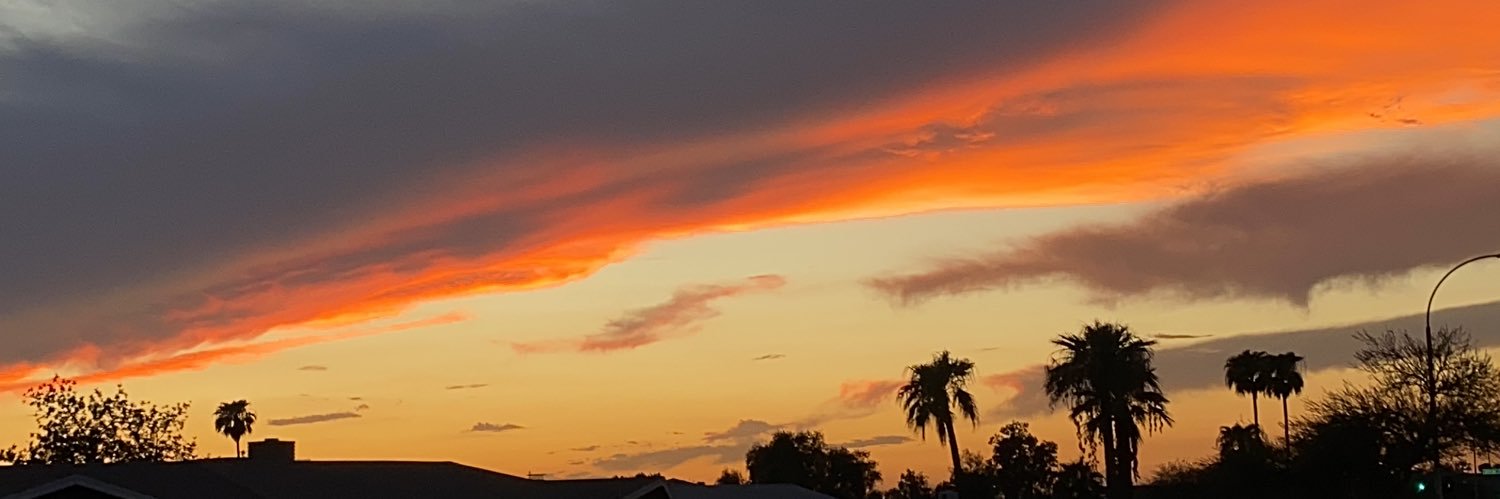 SarahhMJones's profile banner image
