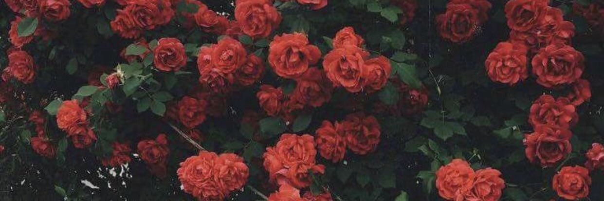 _k4rol's profile banner image