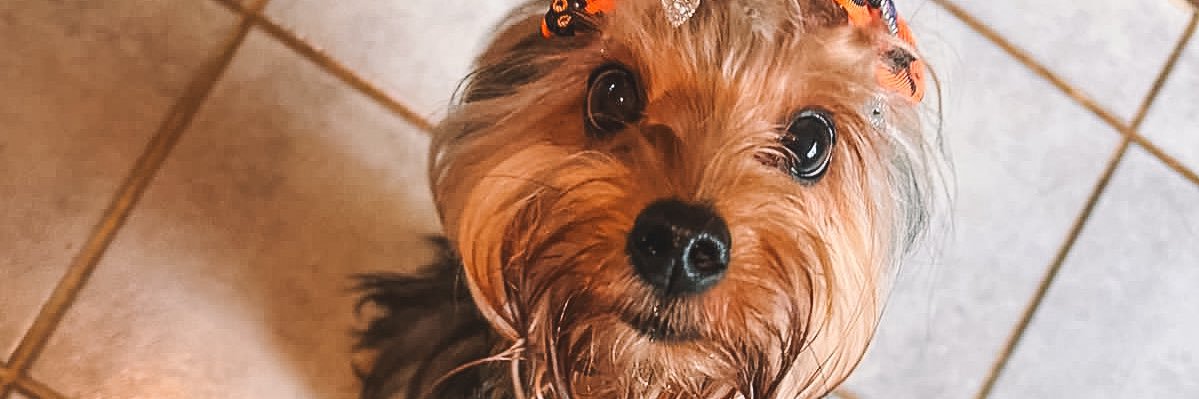 gabilaitart's profile banner image