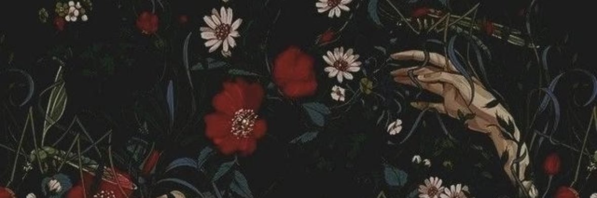 Macy J banner