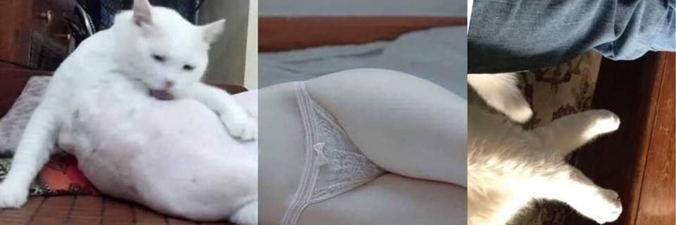 laah_dark's profile banner image