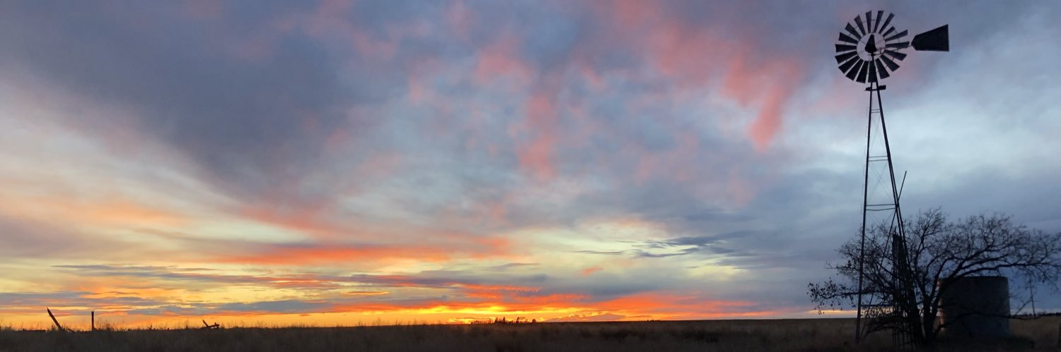 HaiRob12's profile banner image