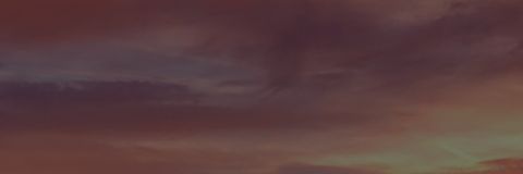 mattrika_pupae's profile banner image