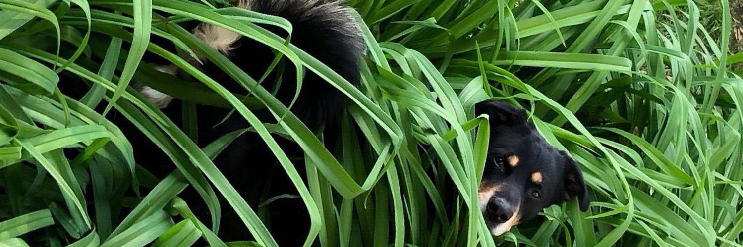 TCooked22's profile banner image