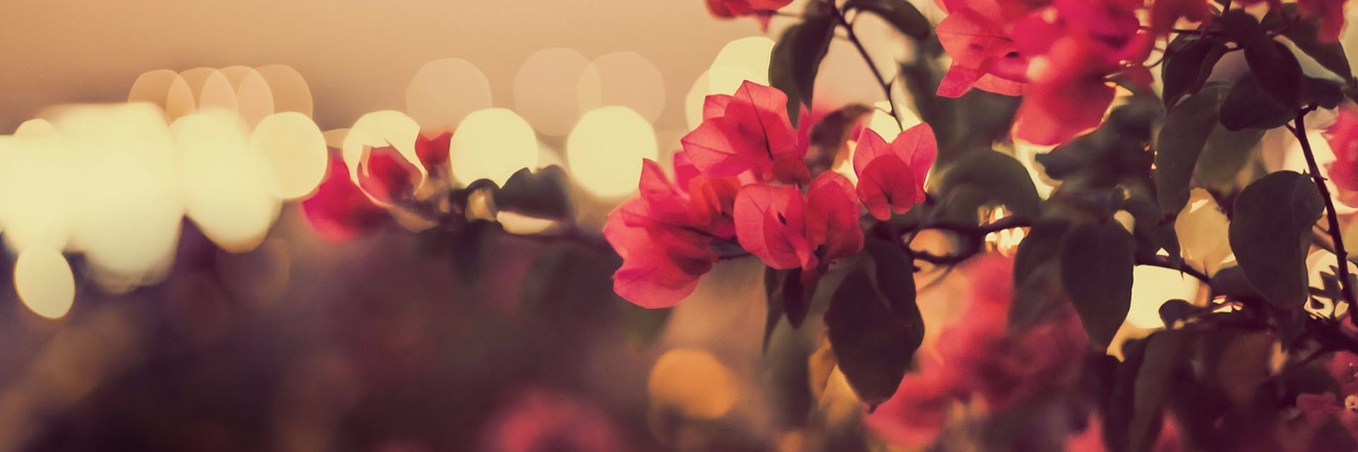 mibancar's profile banner image