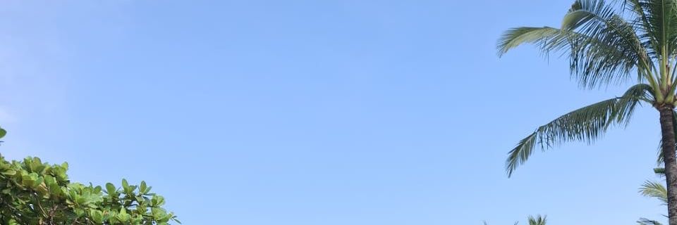 ayaragarini's profile banner image