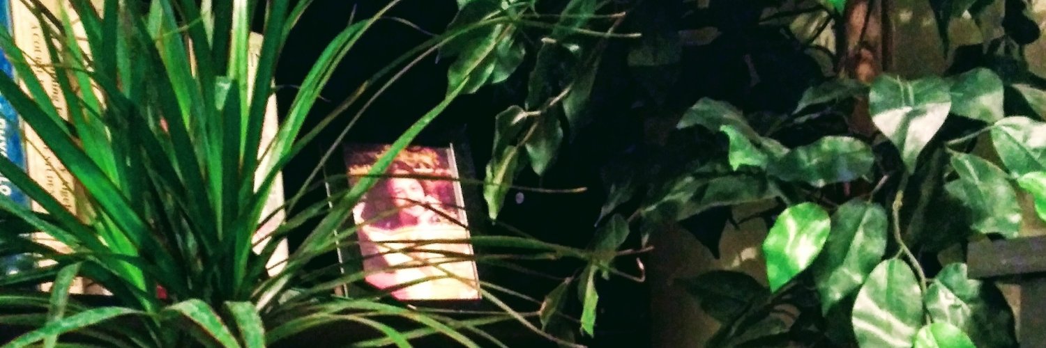 bee_ladyb's profile banner image