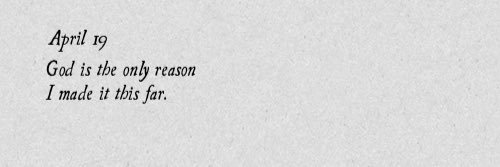 daisiesxo's profile banner image