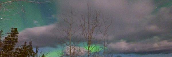 tkwan88 Profile Banner