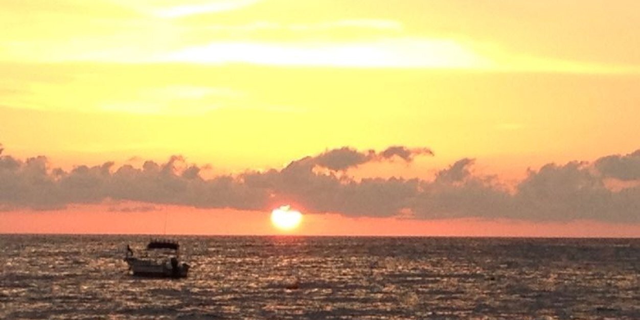 Tabachin22's profile banner image